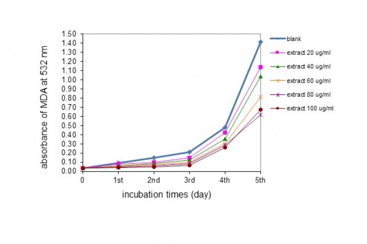 M. parviflora Extract Activity