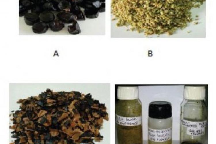 Dried “julang-jaling” (Archidendron bubalinum (Jack) I.C Nielsen) seeds