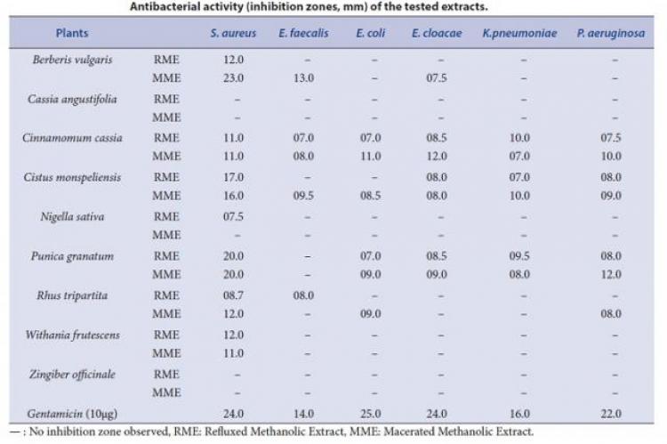 Antibacterial activity (inhibition zones, mm) of the tested extracts.