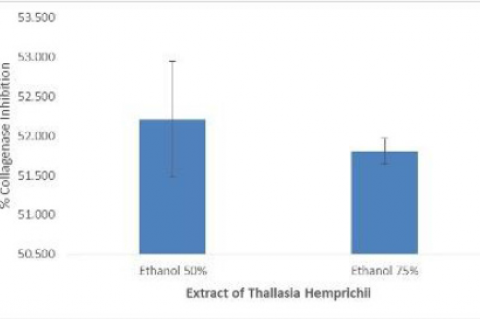 % Inhibition of Collagenase of Thalassia hempricii.