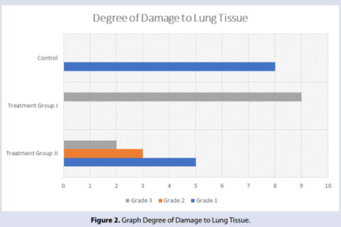 Graph Degree of Damage to Lung Tissue