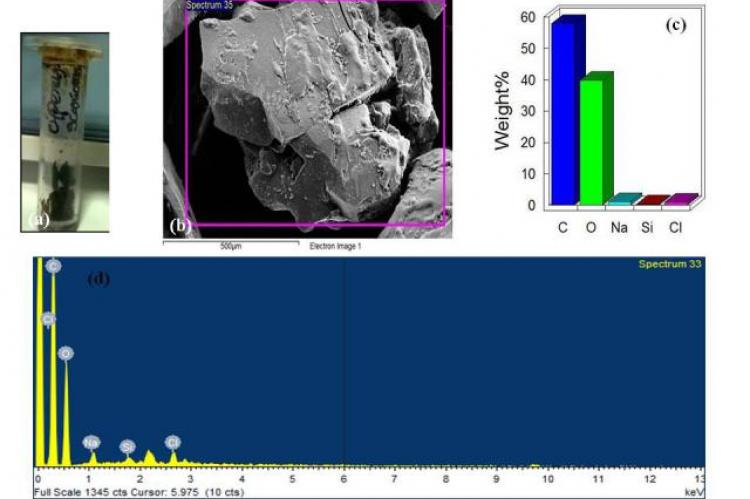 Represents elemental analysis in C. scariosus R. Br