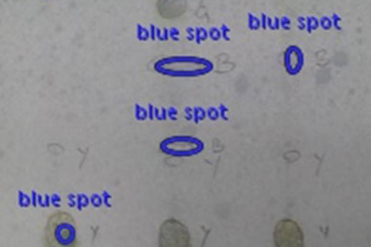 TLC Analysis of flavonoids using reagent.