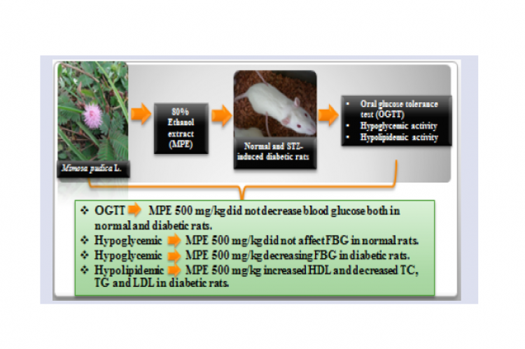 GRAPHICAL ABSTRACT