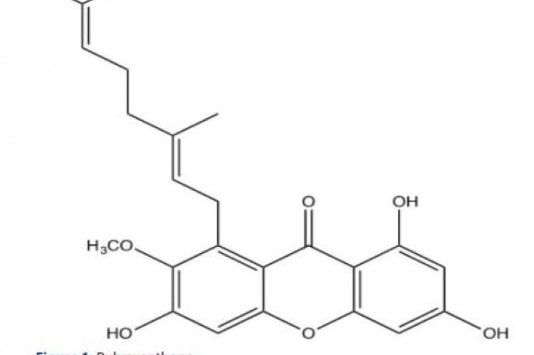 Rubraxanthone