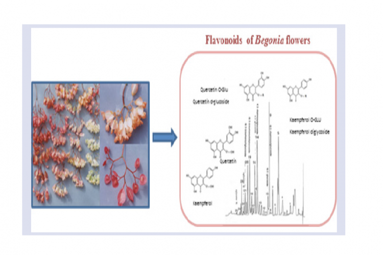 GRAPHICAL ABSTRACT