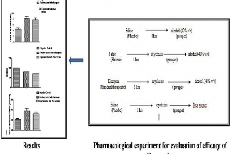 GRAPHICAL ABSTRACT