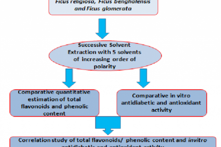 GRAPHICAL ABSTRACT