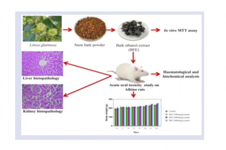 GRAPHICAL ABSTRACT