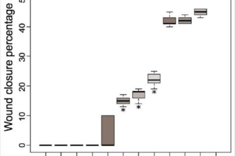 Evaluation of the average size of the dermal lesions induced in mice: GI: Control Group, GII: 0.1% O. vulgare cream, GIII: 0.5% O. vulgare cream, and GIV: 1% O. vulgare cream. (*): Group with a significant difference about the IG (Control Group); (#): Group with a significant difference about IVG (1% O. vulgare cream). ANOVA and Tukey's HSD test at p < 0.05.