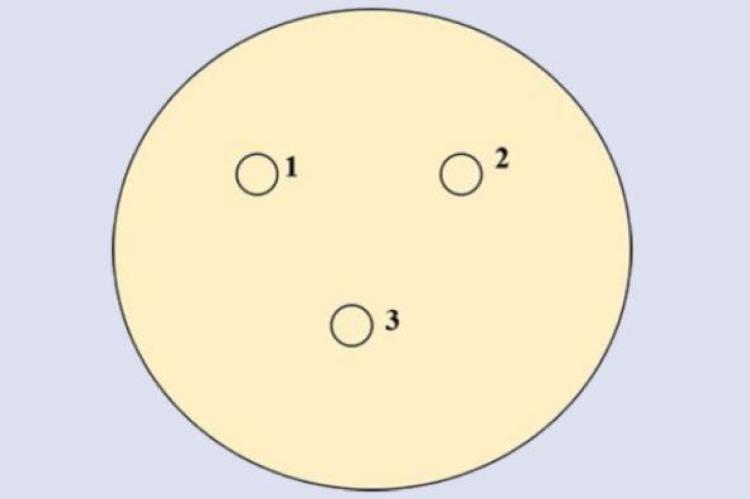 Agar well diffusion method of B. griseipurpureus Corner. extract against E. coli ESBL 182, well 1 is the extract; well 2 is DMSO; well 3 is gentamicin (10 μg).