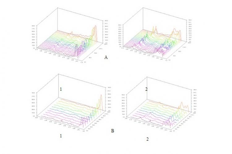 Chromatogram of the extract of P. pellucida