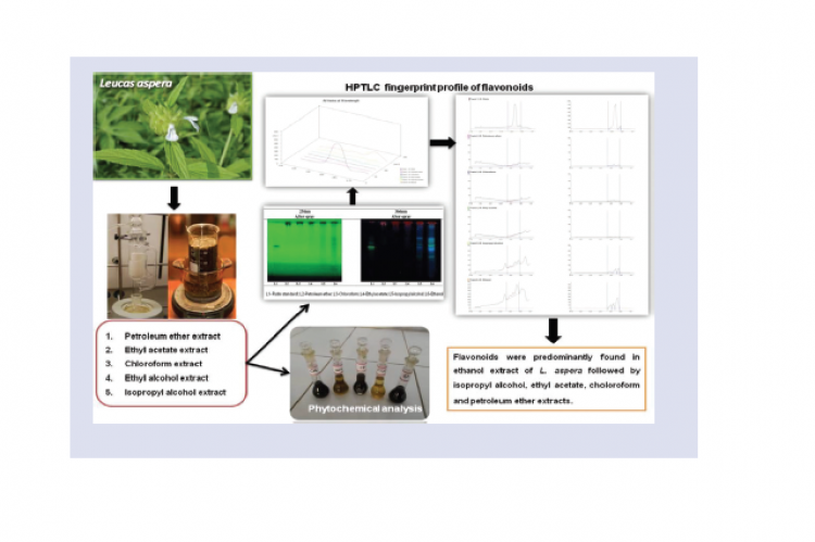 GRAPHICAL ABSTRACT