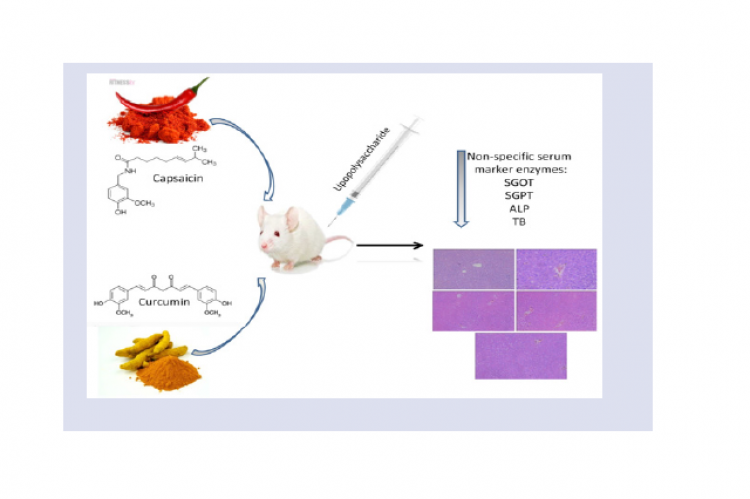 GRAPHICAL ABSTRACT