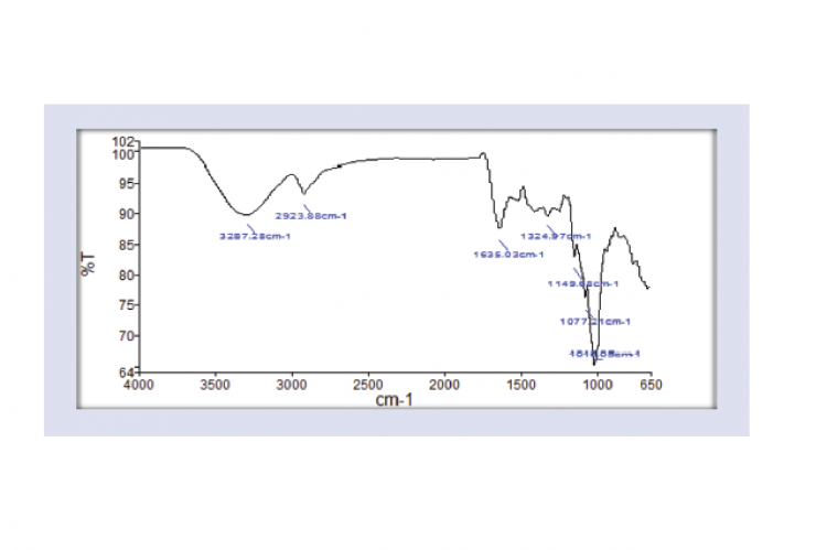 FTIR analysis of Curcuma caesia Roxb.