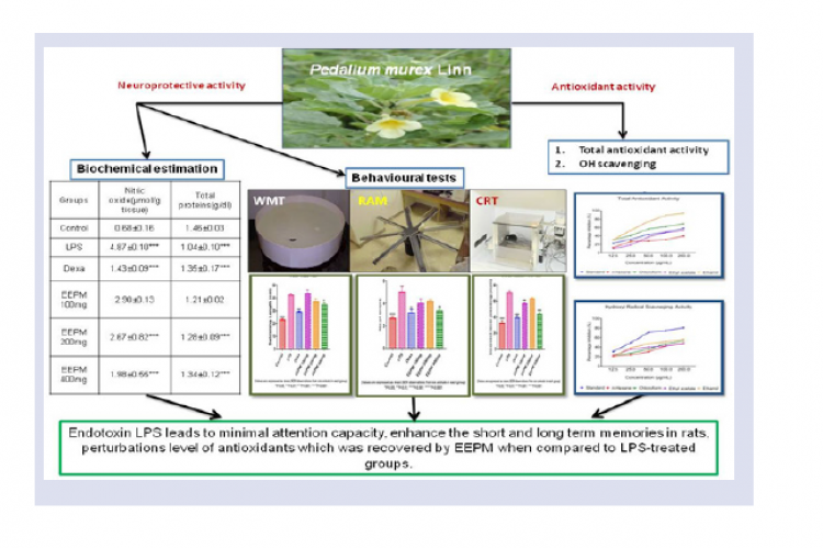 GRAPHICAL ABSTRACT