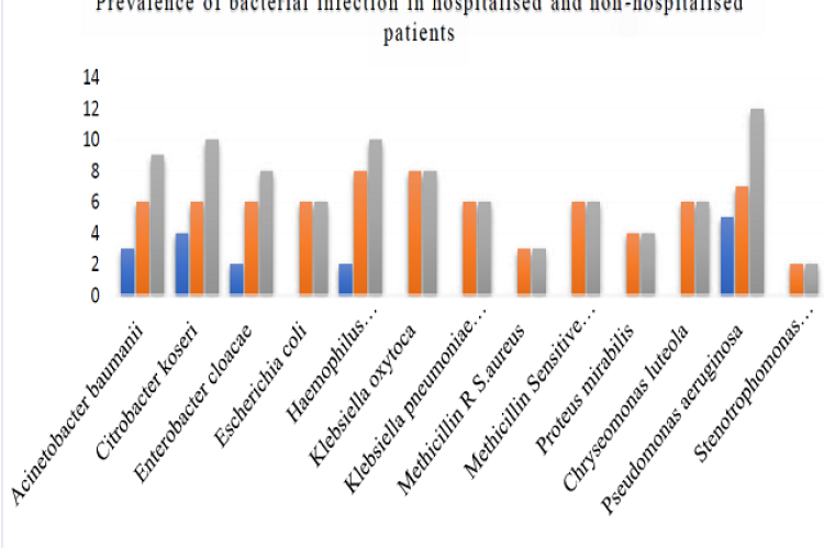 Prevalence of bacterial infections in hospitalised and non-hospitalised patients.