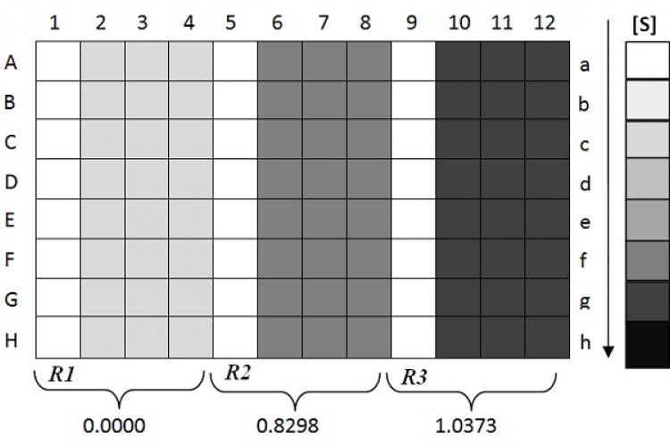 96-well plate format for enzyme inhibition study