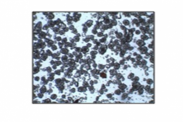 Represents abundant rosette crystals from NA IV.