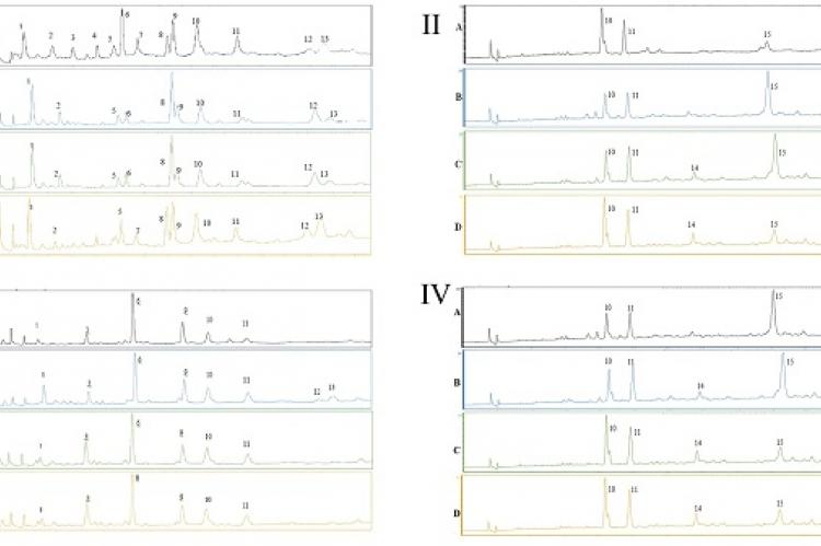 HPLC-UV chromatograms of phenolic compounds from ethyl acetate extracts of leaves and fruits of Anadenanthera colubrina