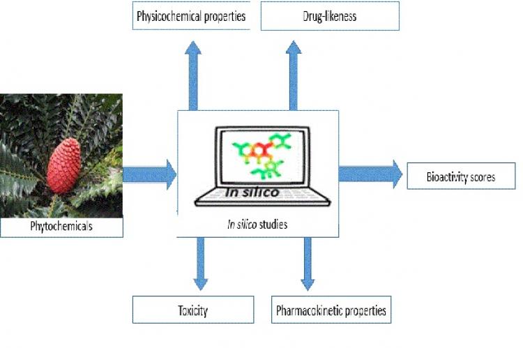 Graphical Abstract