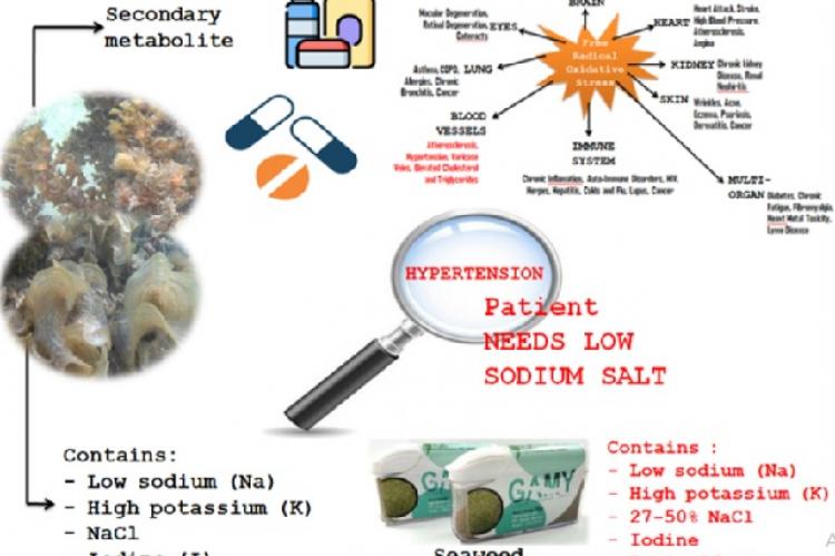 Graphical Abstract