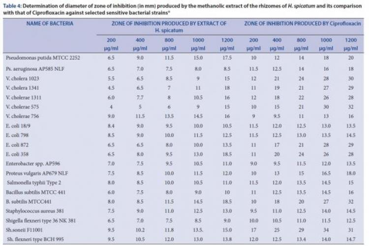 Determination of diameter of zone of inhibition (in mm) produced by the methanolic extract of the rhizomes of H. spicatum and its comparison with that of Ciprofloxacin against selected sensitive bacterial strains