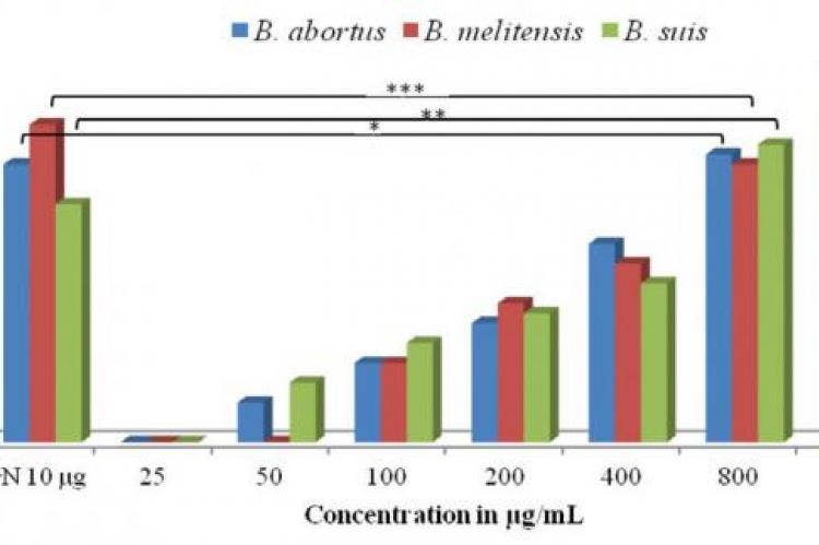 Zone of Inhibition from TLC purified ethanolic extract of C. citrinus