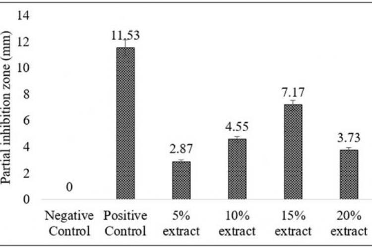 Antimicrobial activity of Mangrove fruit extract against E. coli.