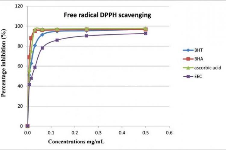 Anti-radical activity of the ethanol extract of Calendula suffruticosa