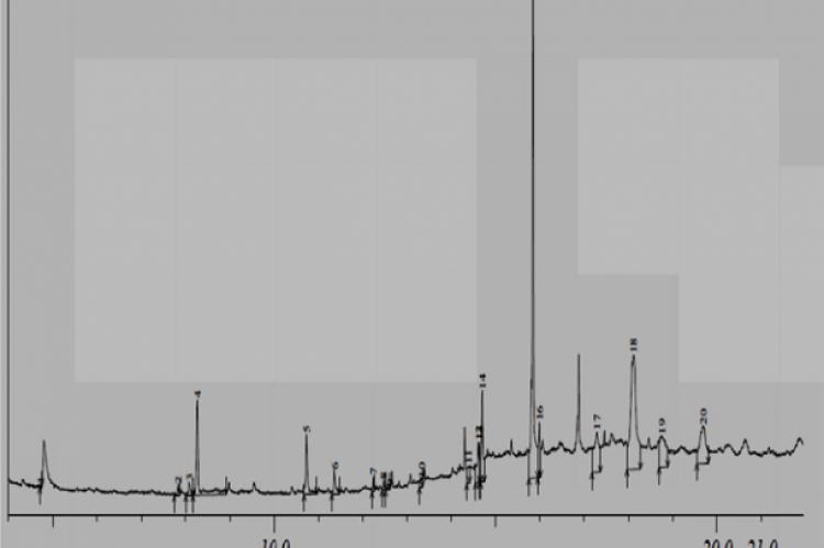 GC-MS Chromatogram of the ethanol extract of Blighia sapida bark