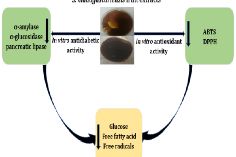 Graphical Abstract