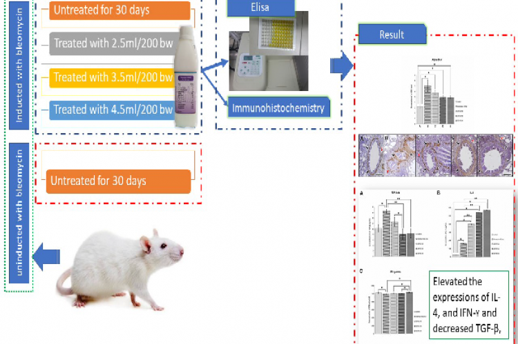 Graphical Abstract