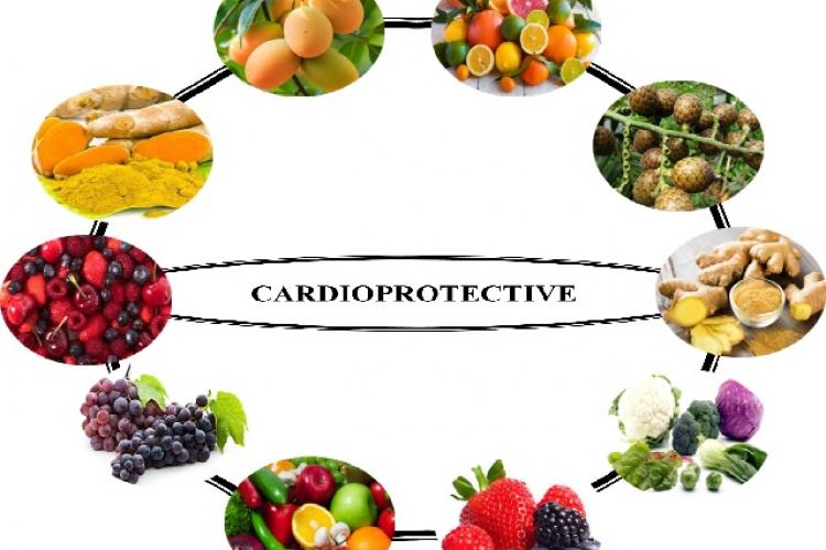 Protective Effect of Natural Products against Chemotherapy-Induced ...