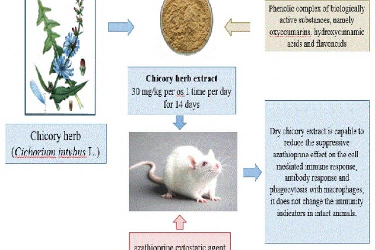 Graphical Abstract