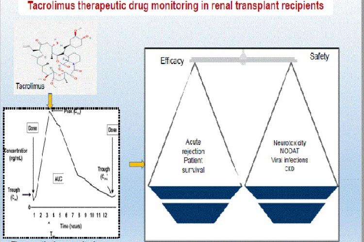 Graphical Abstract