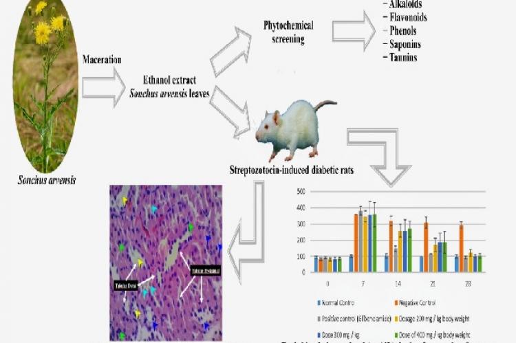 Graphical Abstract