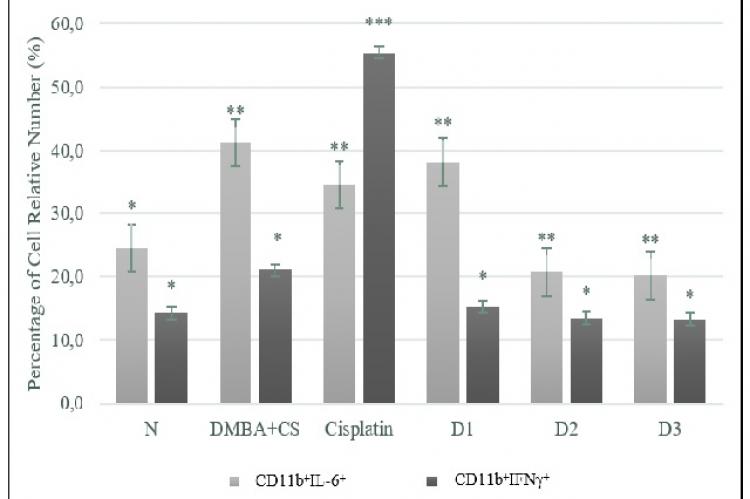 IFN-γ and IL-6 expression on CD11b cells after DMBA-CS exposure and Noni juice treatment