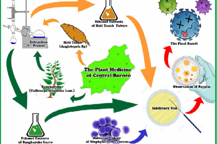 Graphical Abstract