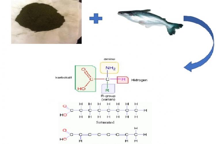 Graphical Abstract