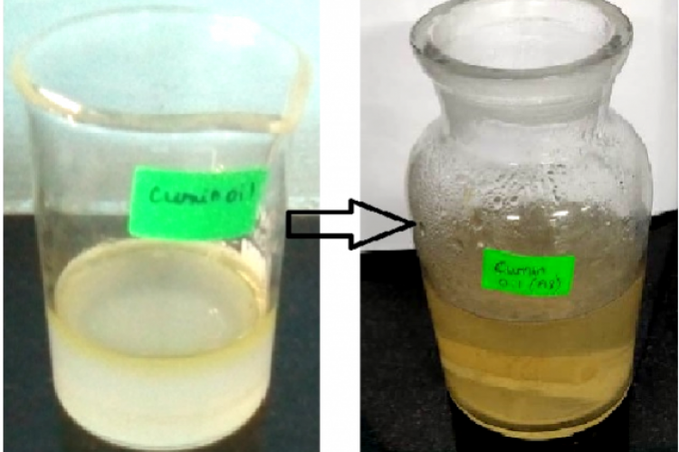 Visual observation of formation of AgNPs