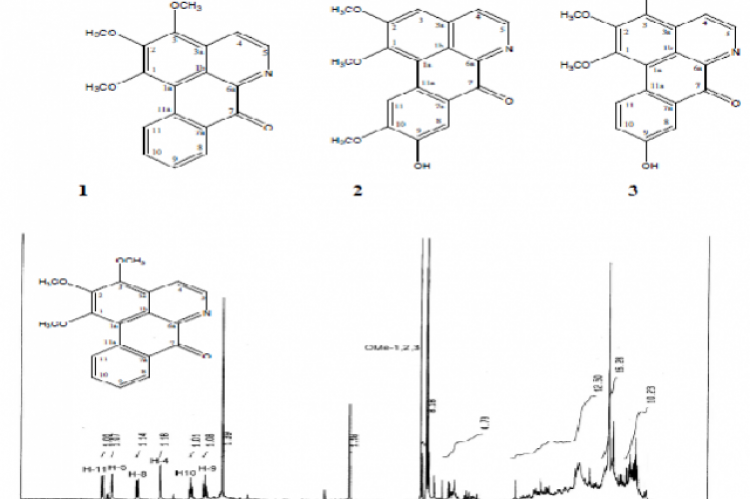 1H NMR spectrum of compound 1