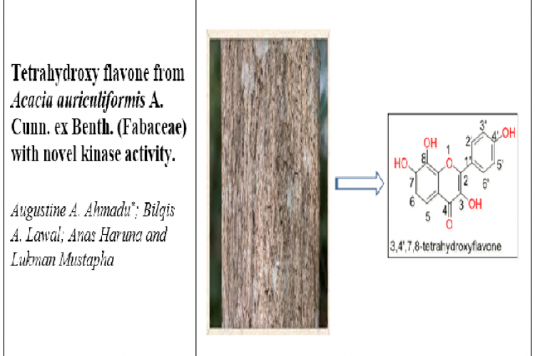 Graphical Abstract