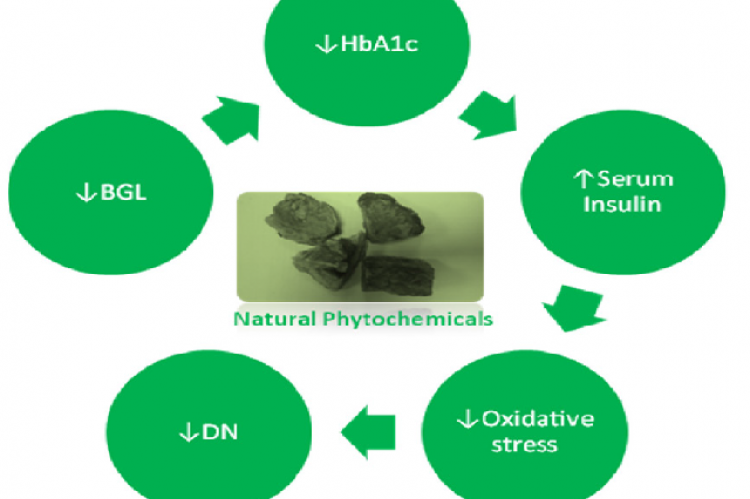 Graphical Abstract