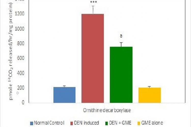 Effect of G. mangostana extract on 3H thymidine incorporation in hepatocellular carcinoma tissues