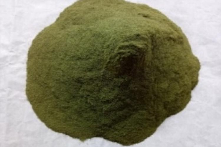 Kemuning leaf powder