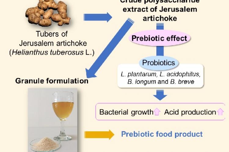 Graphical Abstract