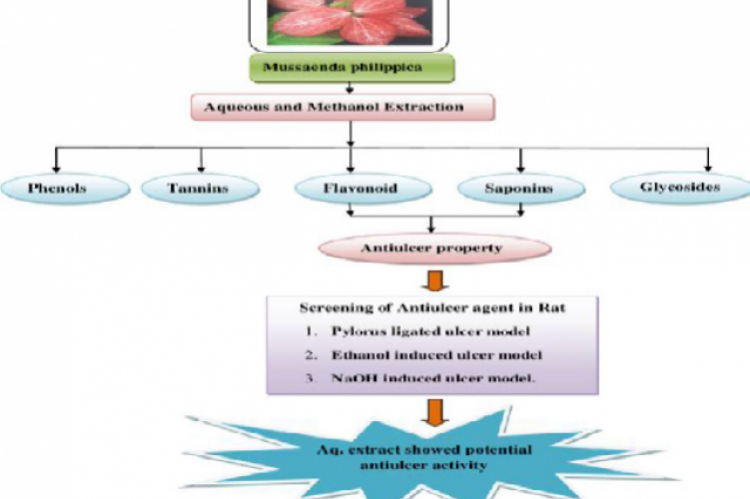 Graphical Abstract