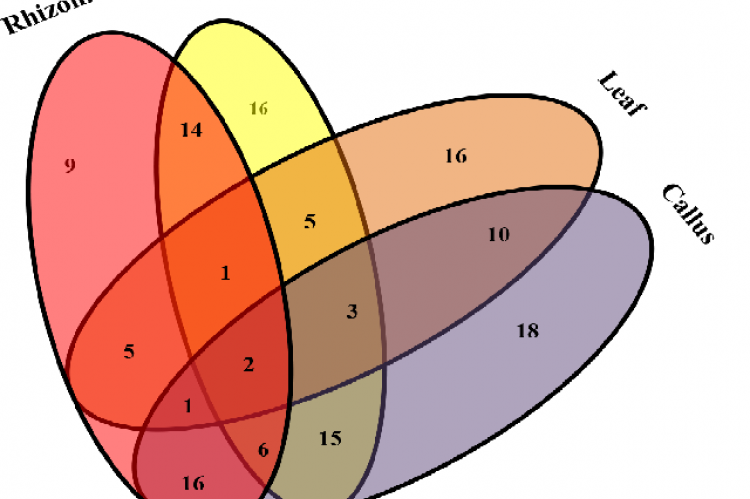 Venn diagram represented the unique and common compounds in different parts of R. emodi
