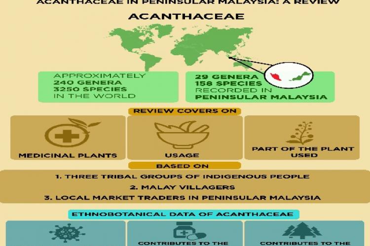 Graphical Abstract